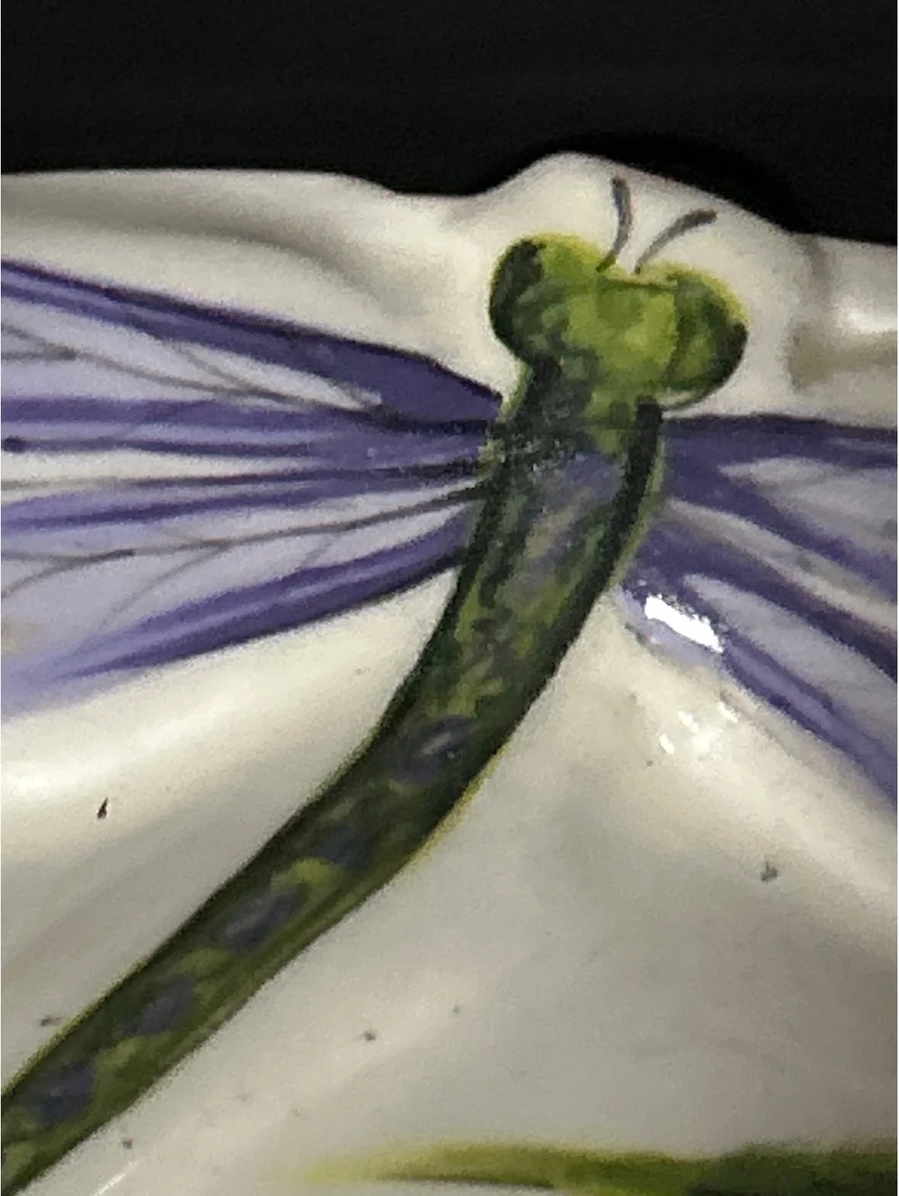 Handpainted Ceramic Serving Platter with Floral and Dragonfly Design